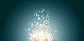 Να ασχολείσαι με όλα ήρεμα…