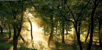 Η πνευματική ειρήνη της καρδιάς….