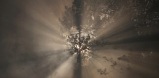 Μη φοβάσαι, δεν θα πεθάνεις· θα νικήσεις τον θάνατο