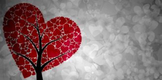 Όσιος Σιλουανός ο Αθωνίτης : Να αγαπάμε αλλήλους….