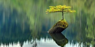 Το μήνυμα της ημέρας