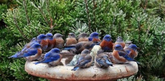 Η δημιουργία του κόσμου (Video για παιδιά – Δείτε το)