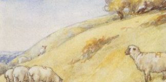 Όταν δίνεις πλουτίζεις… δεν φτωχαίνεις