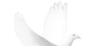 Ο υπέροχος Ύμνος της Αγνότητας