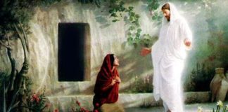 Το δώρο της Ευγνωμοσύνης…..