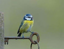 Άν θέλεις να εισακουστεί η προσευχή σου, χρειάζεται και το ανάλογο κλειδί