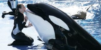 Η ενθάρρυνση φέρνει αποτελέσματα, όχι η επίκριση…