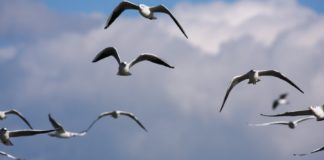 Ο Νοέμβριος – Καλό και ευλογημένο μήνα !