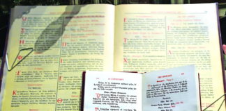 Γλωσσικές Ἐπισημάνσεις