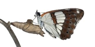 Γι’ αυτό δεν πρέπει να θέλουμε να μαθαίνουμε, να γνωρίζουμε τί κάνει ο άλλος..