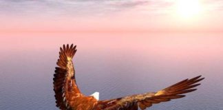 Να ομιλείς μόνο όταν πρόκειται να πείς κάτι ανώτερο της σιωπής