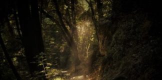 Περί ονείρων και οραμάτων