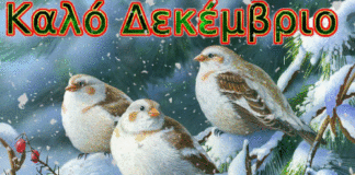 Μήνας Δεκέμβριος ! Καλό μήνα !