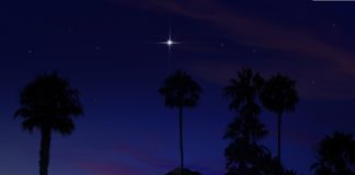 “Χριστός γεννάται δοξάσατε ” Θανάσης Δασκαλοθανάσης – Πεζές καταβασίες