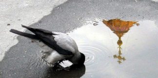 Ποτέ μην ξεχνάς ότι είσαι μικρός Θεός μέσα στην λάσπη