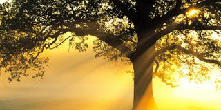 O Θεός θα σου φανερωθεί