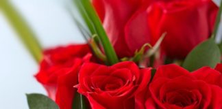 Τι είναι ευτυχία…