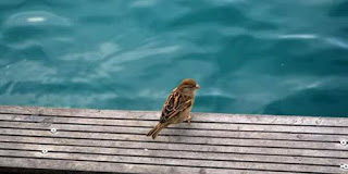Ποια κατάσταση θα μπορούσε να υπάρχει πιο αμαρτωλή από αυτή;
