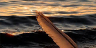 Λόγοι οσίου Γέροντος Παϊσίου : Περί φορολογίας και τιμιότητας