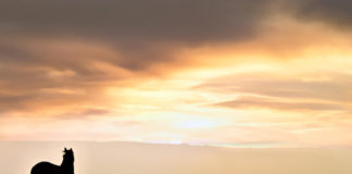 Καλό, κακό…….ποιος ξέρει ;