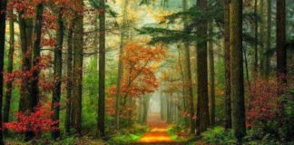 Ας επιδείξουμε προς αυτούς που μας αδίκησαν τόση μεγάλη φροντίδα, σαν προς αληθινούς ευεργέτες