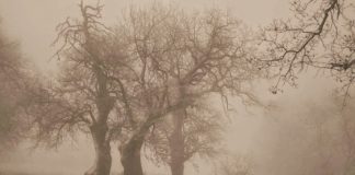 Με τη σιωπή, την ανοχή και την προσευχή ωφελούμε τον άλλον μυστικά