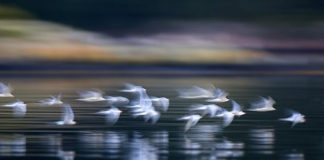 Μακρυά από αυτούς που κατηγορούν και κατακρίνουν