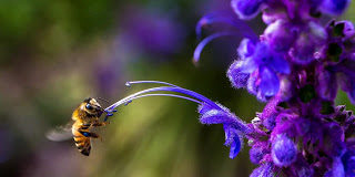 Το μήνυμα της μέρας