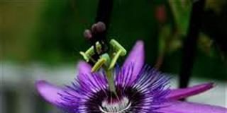 Είναι ”βουβή” και ”κουφή” η Εβδομάδα αυτή;