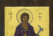 Άγιος Τρύφωνας-1 Φεβρουαρίου: Βίος, έθιμα, προσευχή από τον Γέροντα Αθανάσιο