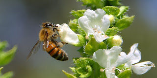 Το μήνυμα της ημέρας