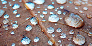 Το μήνυμα της μέρας