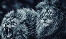 Υπερηφάνεια