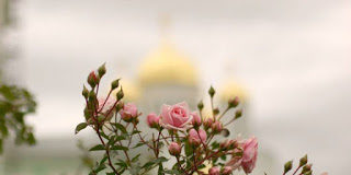 Φεβρουάριος ή Φλεβάρης. Καλό Μήνα σε όλους !
