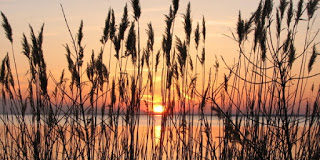 Εγώ καλάμι συντετριμμένο δεν θα το τσακίσω