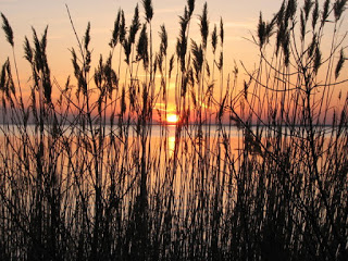 Εγώ καλάμι συντετριμμένο δεν θα το τσακίσω.