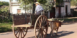 Διδακτική Ιστορία : Το άδειο κάρο