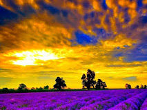 Τις ώρες της σιωπής τελεσιουργούνται τα μεγάλα θαύματα