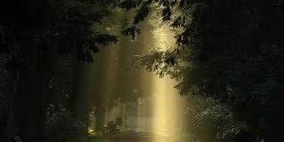 Η απιστία είναι τρέλα….