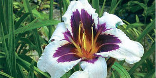 Το μήνυμα της ημέρας…