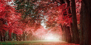 Να του δώσεις λογαριασμό