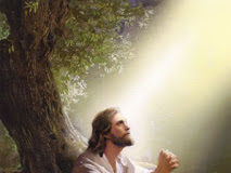 Μια ανακάλυψη