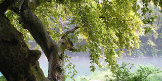 Ποιά εἶναι ἡ ὠφέλεια ἀπό τήν ἐγκράτεια καί ποιά ἡ ζημιά ἀπό τήν ἔλλειψη ἐγκράτειας. Πῶς καταστρέφει τό πολύ κρασί