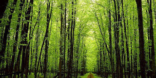 Δεν μας χρειάζονται θαύματα