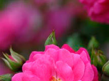 Το μήνυμα της ημέρας