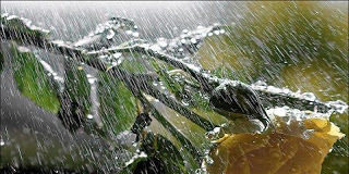 Συγχώρηση προσβολών – κρίση του πλησίον