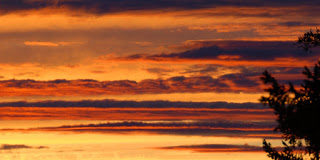 Τα πάθη του ανθρώπου