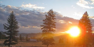 Τα τρία δέντρα