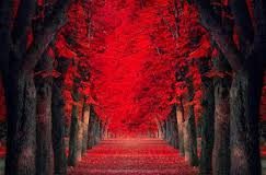 Το πάθος της φιλοδοξίας