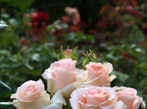 Μήνυμα της ημέρας